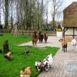 img-0177.jpg