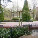 678ccd3f90f94_img-0239.jpg