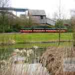 678ccd40efd9f_img-0243.jpg