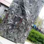 678ccd420d904_img-0246.jpg