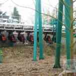 678ccd4661b91_img-0258.jpg