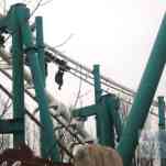 678ccd48d2109_img-0265.jpg