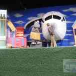 678ccd59cd295_img-0315.jpg