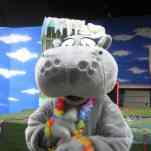 678ccd623f0ed_img-0340.jpg