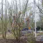 678ccd67ae10d_img-0357.jpg