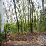 678ccd6c29cb6_img-0370.jpg