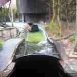 678ccd6c7704b_img-0371.jpg