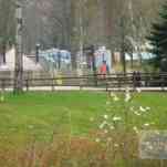 678ccd7663c5e_img-0406.jpg