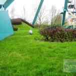 678ccd76b037d_img-0407.jpg