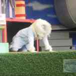 678ccd7ea7a86_img-0434.jpg