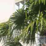 678ccd8ec53c2_img-0497.jpg