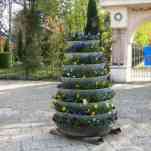 678ccd9188624_img-0505.jpg