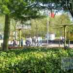 678ccd95a6f6b_img-0517.jpg