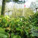 678ccd9608268_img-0518.jpg