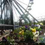 678ccd965d19e_img-0520.jpg