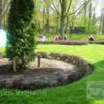 678ccd97c01a6_img-0525.jpg
