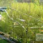 678ccd9d60529_img-0540.jpg