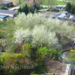678ccd9f6cef0_img-0547.jpg