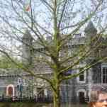 678ccda9172c6_img-0578.jpg