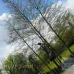 678ccda9b7cc2_img-0580.jpg