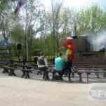 678ccdab52c9d_img-0586.jpg