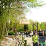 678ccdb2bd31b_img-0611.jpg