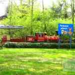 678ccdb41ee8a_img-0615.jpg