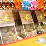 678ccdb4d3b92_img-0617.jpg