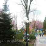 678ccdb5e1dad_img-0620.jpg