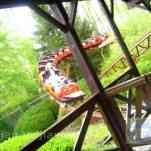 678ccdb93ff62_img-0630.jpg