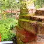 678ccdbac4774_img-0637.jpg