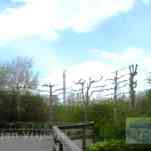 678ccdcdd6051_img-0709.jpg