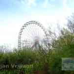 678ccdce3f28d_img-0710.jpg