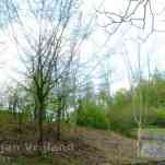 678ccdd24c73f_img-0725.jpg