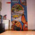 678ccddba5274_img-0003.jpg