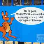 678ccdde1eca6_img-0010.jpg