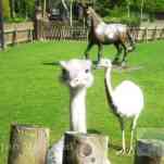 678ccddfea9fe_img-0016.jpg