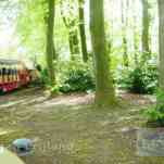 678ccdec433ff_img-0063.jpg