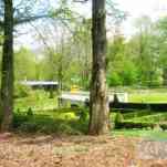 678ccded9612f_img-0067.jpg