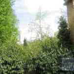 678ccdee41815_img-0069.jpg