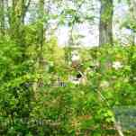 678ccdee982a7_img-0070.jpg