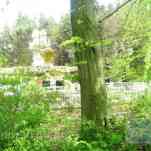 678ccdeeef3f8_img-0072.jpg