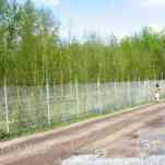 678ccdf159e83_img-0079.jpg