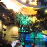 678ccdf5b29c5_img-0093.jpg