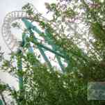 678cce0807267_img-0152.jpg