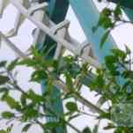 678cce08565c3_img-0153.jpg