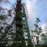 678cce08ac641_img-0154.jpg