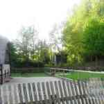 img-0387.jpg