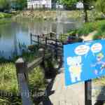 img-1091.jpg