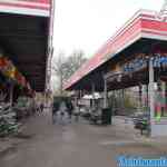 walibi-holland-17-12-2023-040.jpg